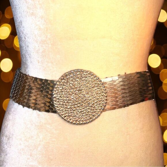 Retro 70’s gold colored serpentine stretchy belt - Picture 1 of 11